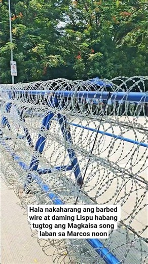 hala nakaharang ang barbed wire at daming lispu habang tugtog ang magkaisa song laban sa marcos noon