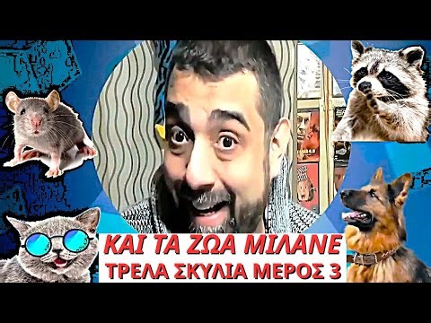 ΚΑΙ ΤΑ ΖΩΑ ΜΙΛAΝΕ ΤΡΕΛΑ ΣΚΥΛΙΑ ΜΕΡΟΣ 3