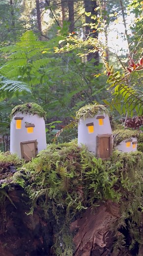 Materials Used: Glass jar, plaster of Paris, small branches, wooden craft sticks, tree bark, wood glue, modge podge and moss. #fairyland #fairyvillage #fairyforest #whimsicalworld #enchantedforest #enchantedhouses #fairyhouse #fairyhouses #fairydwellings #fairytales #feenhaus #gnomehouse #gnomehome #pixiehouse #pixiehollow #pixiedwellings #hobbithouse #diyfairyhouse #wichtelhaus #naturecraft #naturecrafts #fairymagic