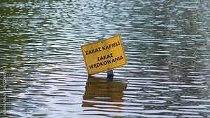 No swimming sign and no fishing sign floating in water with trees reflected in 4k slow motion 60fps