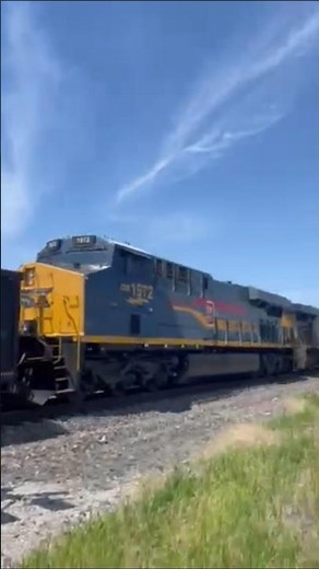 CSX's Seaboard System heritage unit on m217