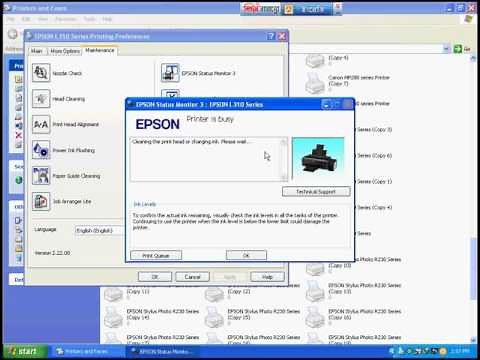 epson l310, print head cleaning solution