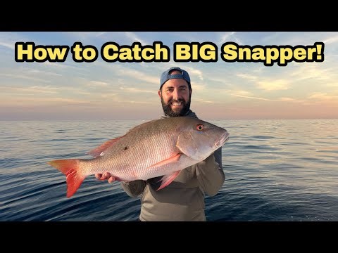 Targeting Mutton Snapper on the Reefs of South Florida | Catch & Cook