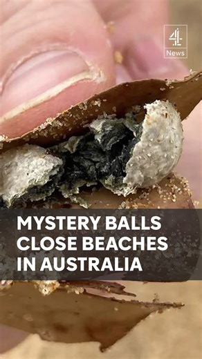 Nine beaches have been closed in Australia after small, mysterious balls of debris washed up on their shores. Last October, similar balls also closed a number of beaches and testing found that they were lumps of fat from human-made waste. #Australia #Balls #Debris #Beaches #Channel4News | Channel 4 News