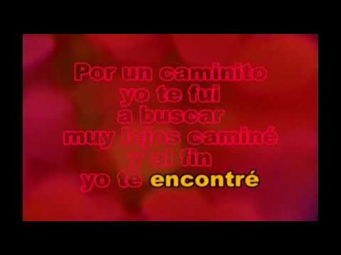 LEO DAN POR UN CAMINITO KARAOKE