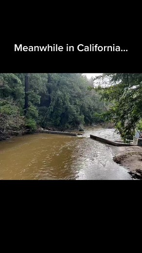 River Band on TikTok