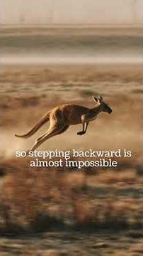 🦘Did You Know Kangaroos Can’t Walk Backward? ✨ #shorts #kangaroo