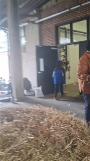 Down at the The Cat Collaborative helping build cat condos to keep our furry friends warm for the winter such a great organization and event we really enjoyed ourselves | Philly Penny Pincher