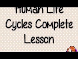 Human Life Cycles - Complete Science Lesson | Teaching Resources