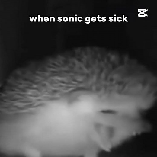 when sonic gets sick