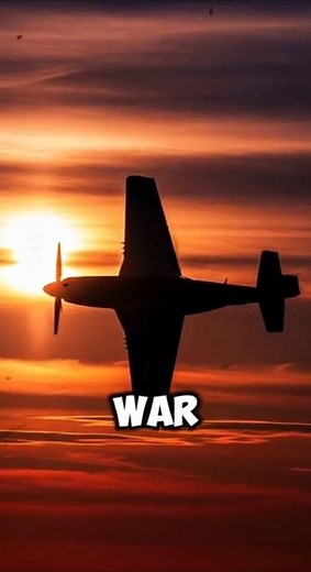 Why the P-51 Mustang Dominated WWII Skies? #historyshorts #ww2history