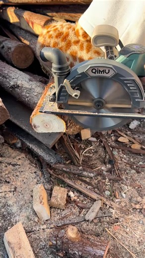 Top Handheld Electric Saws for Home Projects