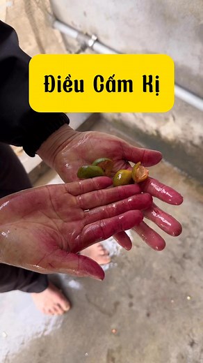 556K views · 7.3K reactions | Những điều cấm kỵ #dieucamky #camky #vungcao #thaoduocdantoc #balaithaoduocdantoc | Bà Lai Thảo Dược Dân Tộc Cao Lan | Facebook