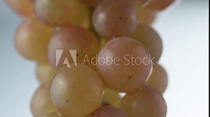 grapes with running water slow motion