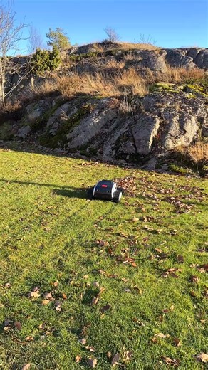 🏆 World's First Robotic Lawn Mower with ROTARY Blades 🍂I’ve been waiting for a mower that could handle rough terrain, horrible grass, and even leaves. Finally—Lymow does it all. | Lymow Tech