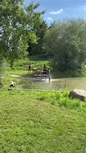 Meinung zu Fetzen im Gelände? 😅🫶🏻 #horse #vielseitigkeitsreiten #haflinger #fyp #viral