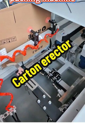 Understanding Carton Erectors in Packaging Machinery