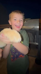 243K views · 5.3K reactions | Did we get a new dog?! Cute puppy! Half pitbull and half lab. https://www.facebook.com/stories/1251697611933858/UzpfSVNDOjE2NTc4MjI3NzgyNDU0NjQ=/?view_single=1&source=shared_permalink&mibextid=wwXIfr | Mav | Facebook