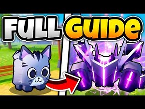 Complete Beginners Guide For Pet Fighters