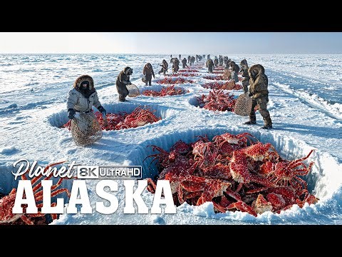 Wild Alaska | Why Alaska’s King Crab Industry Is Worth $5 Billion