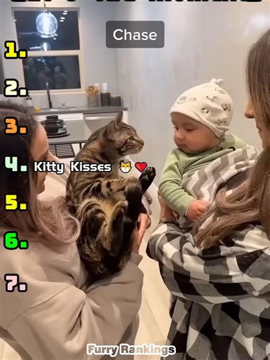 Ranking Sweet Cat & Kid Moments 🐾 Nothing is cuter than the bond between cats and kids! From cuddly naps and kitty kisses to playful moments and gentle paws, we’ve ranked the sweetest cat & child interactions that will melt your heart. 💖 If you love funny cats, adorable kids, and ranking wholesome pet moments, this short is the perfect mix of cuteness and joy. Get ready for the most heartwarming cat & kid moments that will brighten your day. 👉 Don’t forget to LIKE, SUBSCRIBE, and turn on the 