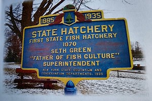 12 New York Fish Hatcheries: Locations and What They Rear