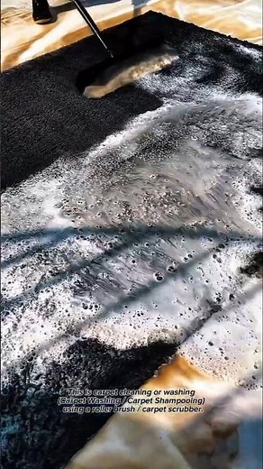 Satisfying Carpet Cleaning Process Using Manual Roller Brush | Deep Cleaning Technique