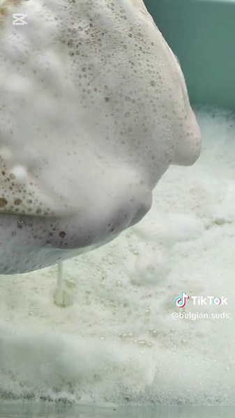 Cif Products Review: The Sponge Combo Experience