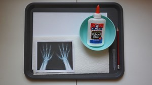 The Human Body | Montessori Inspired Activities - All of Our Homes