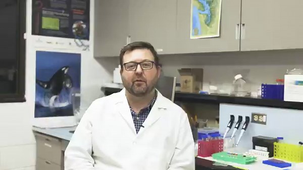 Our new Conservation Genetics Lab is an integral part of Raincoast’s...