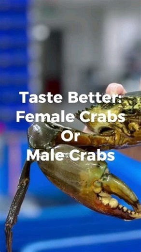 呂 **Crab Taste Test: Male vs. Female!** 呂 Ever wondered which crab...