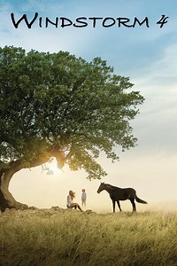 Stream Windstorm 4 (2019): Find it on Netflix, Prime Video, Hulu & more