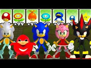 All Sonic Characters in New Super Mario Bros. Wii