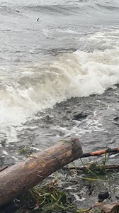 Craig Alaska | Jessica Ann Watson