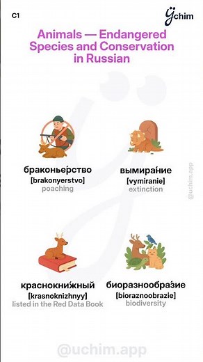🪆 Let's Learn Русский язык: Animals — Endangered Species and Conservation - Russian Style 🇷🇺