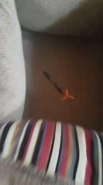 Object Overload Ep 2 - A Special Video