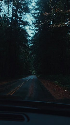 Forks Washington