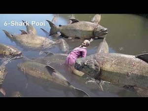 452K views · 161 shares | Poor Pagan Min. He's one hell of a guy.﻿ | Gamology - The Best of Gaming | Facebook