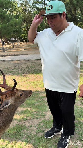 へずまりゅうの奈良公園パトロールと選挙