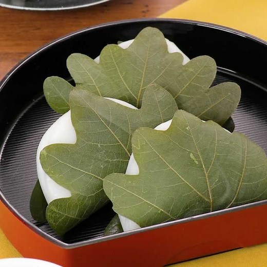 柏餅ってなぜ葉っぱで包まれているの？その理由やレシピ紹介 | デリッシュキッチン