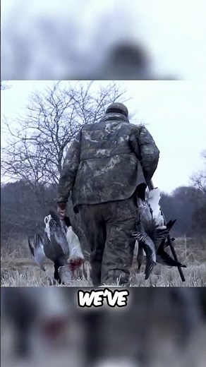 Hunting Geese: They Just Keep Coming! Insane Hunt! #shorts