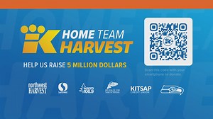 Busy bees - what they do and why it's so important