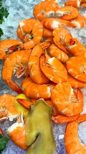 ✨ Unlimited ✨ Seafood Buffet in Houston, Texas. 🦀🦞 They have SO many delicious options like crab legs, lobster, crawfish, oysters, and more. Hot pot and ramen is included in the ayce. The sashimi and sushi is also amazing! 🍣 📍11681 Westheimer Rd, Houston, TX (Lobster only available on weekends) #ayce #buffet | The Texas Family