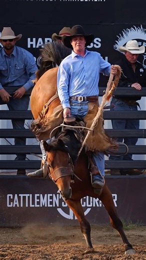 A rank little ranch bronc dance #ranchbroncs