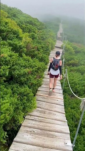 鳥取県の絶景！夏の大山行ってきたよ！山頂は幻想的🌁少し降りたところの景色も良かったからまた載せる！#ハイキング #登山 #trailrunning #trailrunninggear