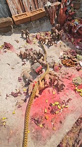 28K views · 255 reactions | The woman who went to worship saw a snake | Snake in the village | Facebook