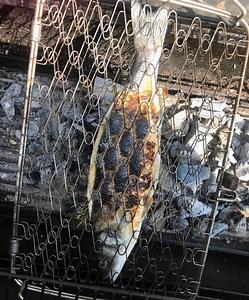 Grillad Sea Bream | Tina Nordström | Recept