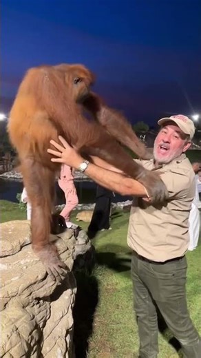 Playing with my Orangutan 🦧 friend here!