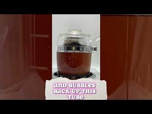 Percolator Coffee Pot 101: How It Works & Brews Perfect Coffee | Ultimate Guide 2023