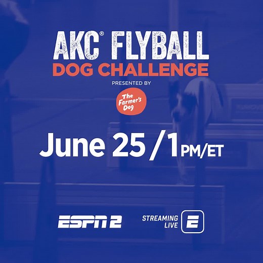 105 reactions · 239 shares | Ready! Set! Go! Watch all-stars of dog drag racing at the AKC Flyball Dog Challenge! June 25 at 1PM ET on ESPN2. | American Kennel Club | Facebook